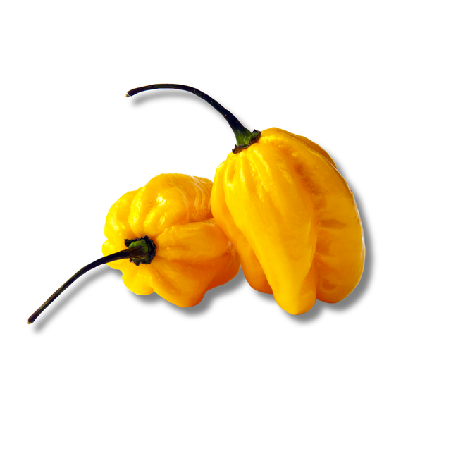 Yellow Hot Pepper- per pack 