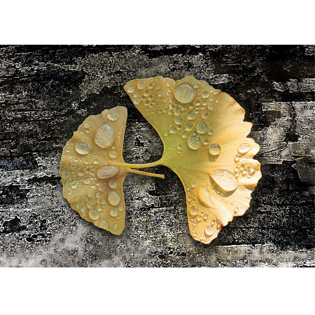  Limited Edition Digital Collage "Ancient 1'