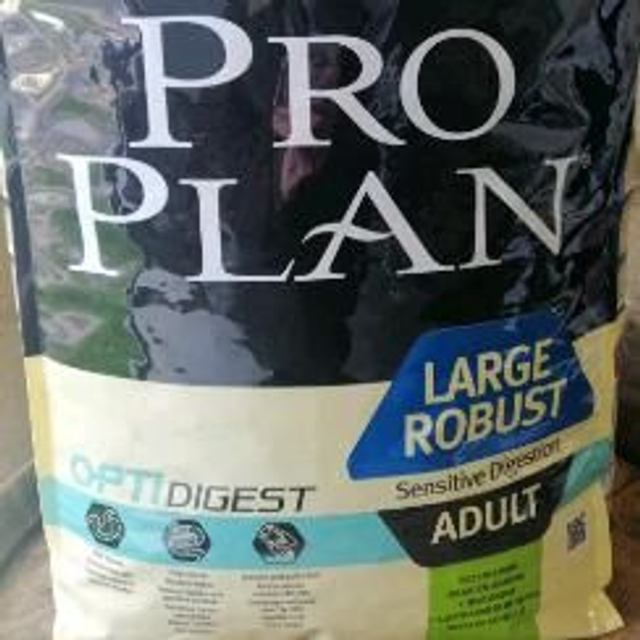 adult large 18kg robust agneau