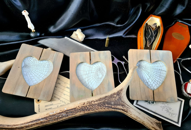 Real Preserved Spider Web Heart Frame