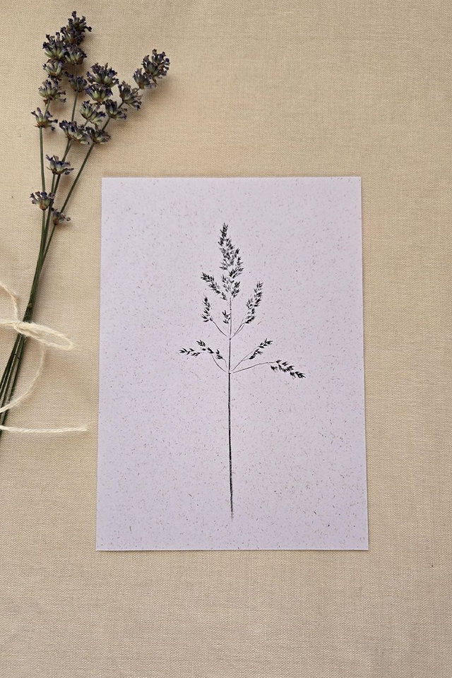 Impression originale « Brin des Champs » Monotype sur papier naturel