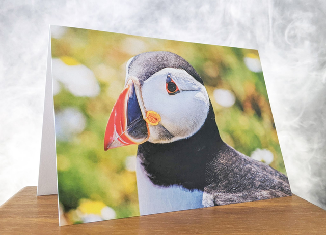 Puffin Blank Card