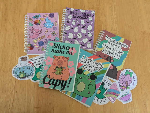 Reusable sticker books 