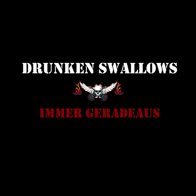 Immer geradeaus - CD