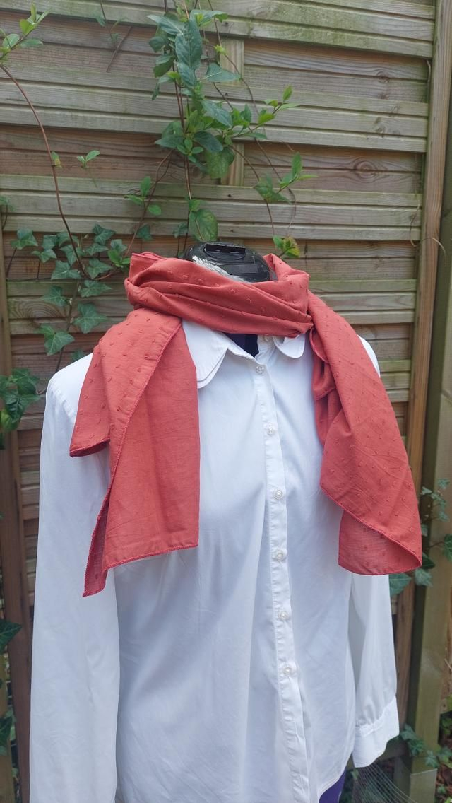 Foulard en plumetis tommettes 