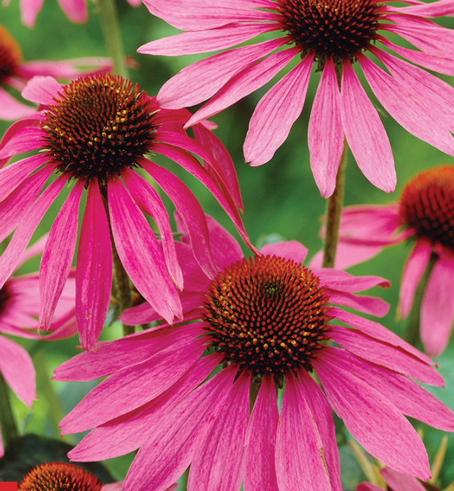 Talks and demonstrations 