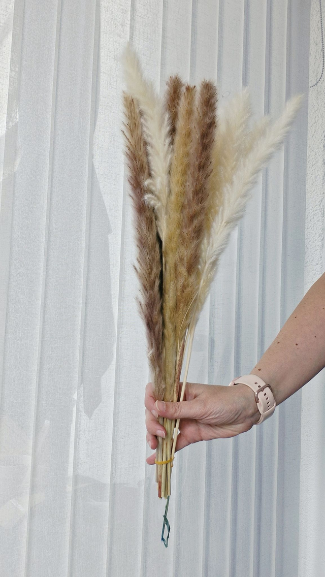 Vide atelier - Pampa mini