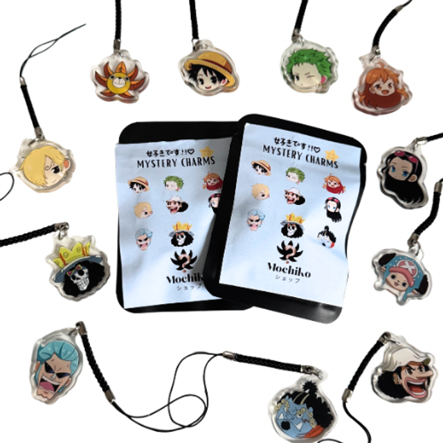 1 MYSTERY CHARMS ONE PIECE 