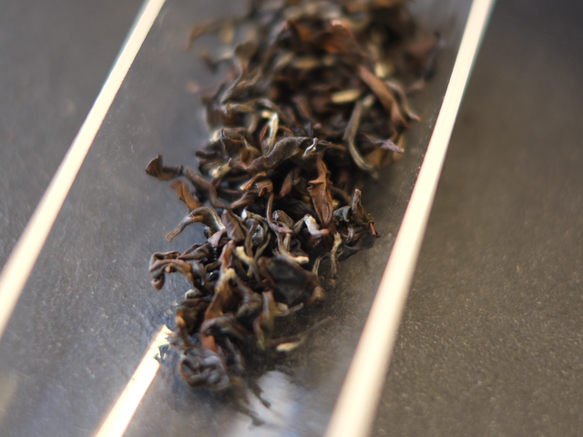 徐耀良茶园东方美人DONG FANG MEI REN