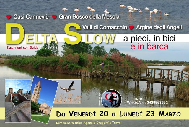  20-23 marzo: DELTA del PO