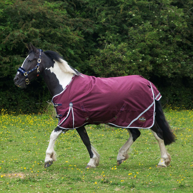 Gallop TROJAN Xtra Duraproof 50g Turnout