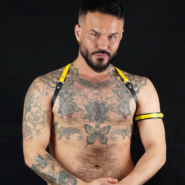 Yellow &amp; Black Leather Shoulder Harness