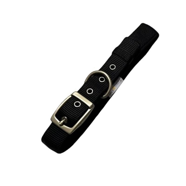 Dog Leads and Collars