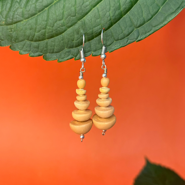 Brinco Escamas Médio Prata