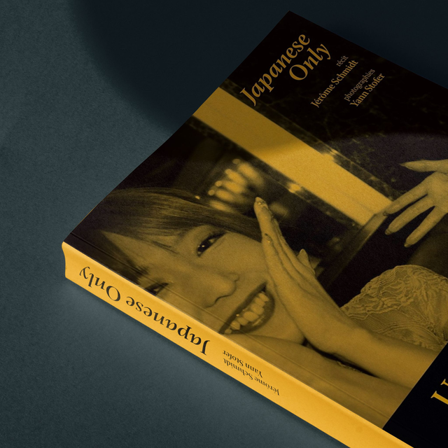 JAPANESE ONLY Book (by Jérôme Schmidt & Yann Stofer)