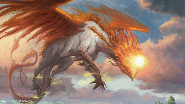 20260213. Standard Showdown