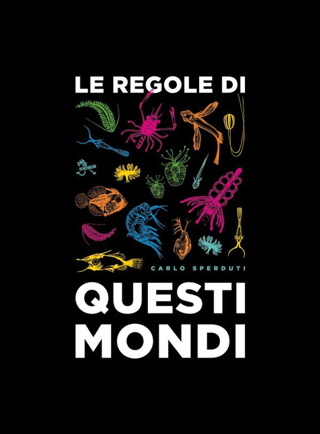 Sperduti Carlo - Le regole di questi mondi