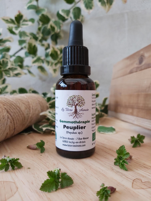 Peuplier (bourgeons)