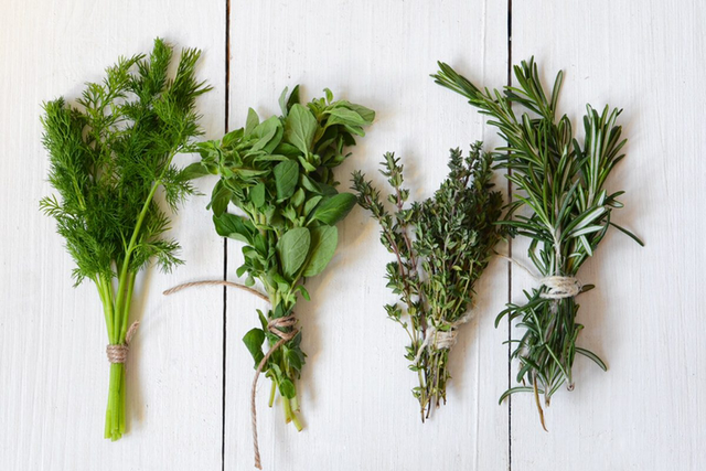Herbalism Course - Magical and Everyday Uses