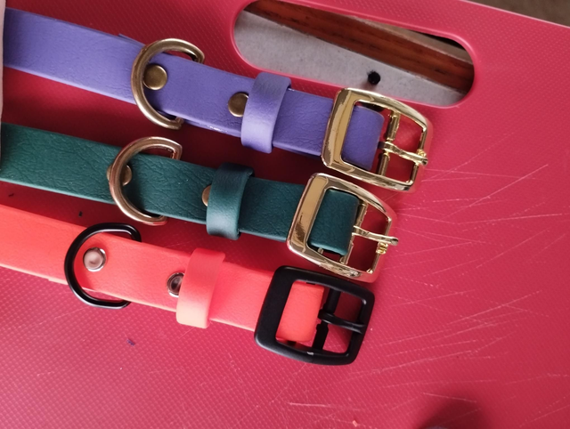 Collier Biothane (16mm) personnalisable