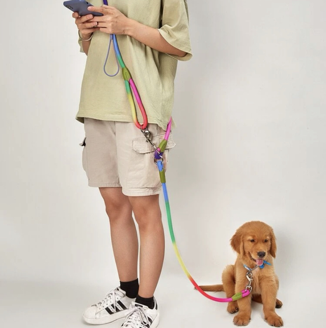 Colorful dog leash