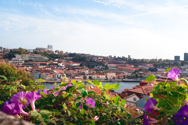 Lisbon Airport to or from Porto