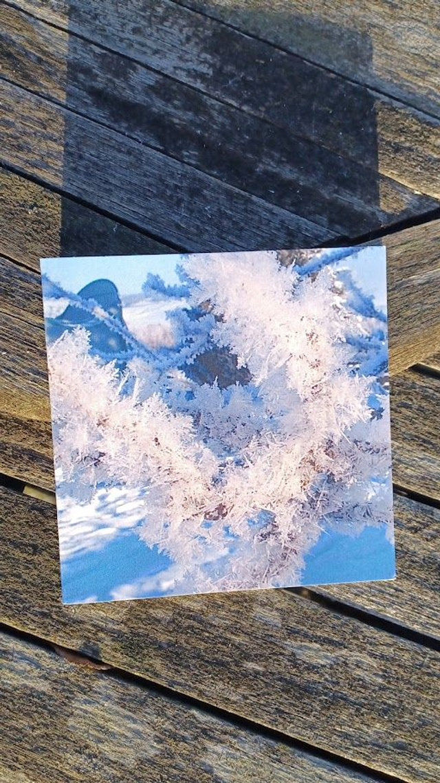 5 mixed Christmas greetings cards