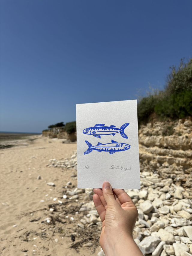 Les maquereaux &quot;mini&quot;