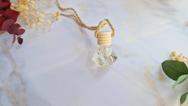 Diffuseur de voiture 