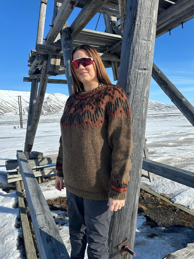 Hopi Polar Sweater Kit - Col 15 (Light Brown Blåne and Troll) - Wool &amp; Pattern - Linka Neumann