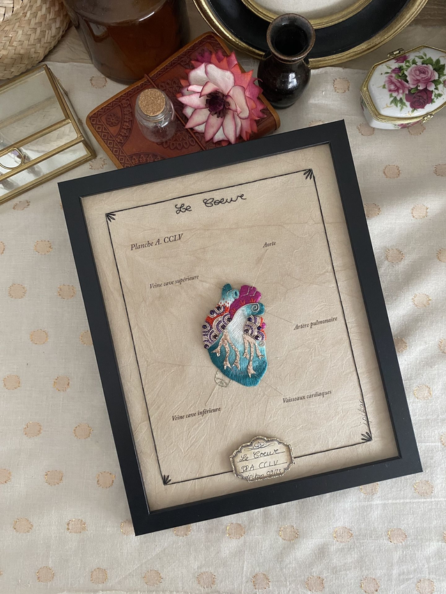 Planche anatomique cclv le coeur dégradé bleu