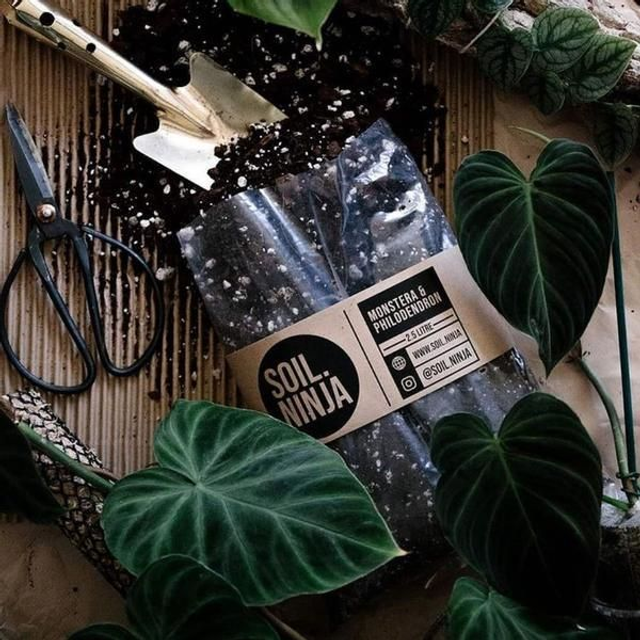 Monstera &amp; Philodendron Soil 2.5L