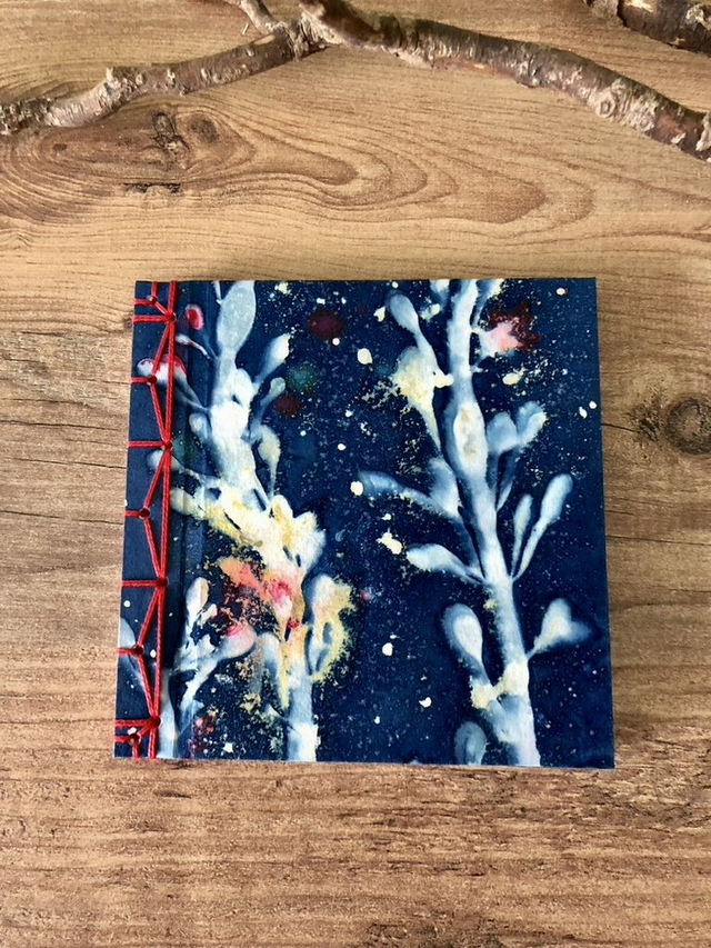 Carnet japonais Ascophyllum nodosum