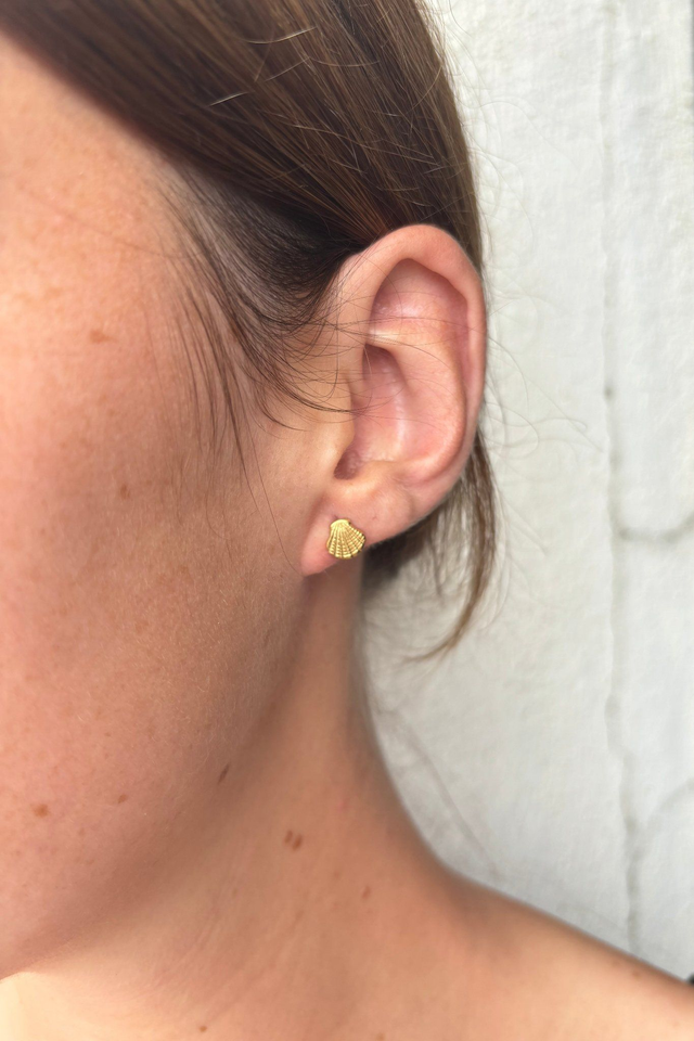 Coquillage | Puces d'oreilles 