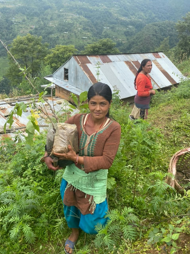 GIFT YOUR LOVED ONE A TREE