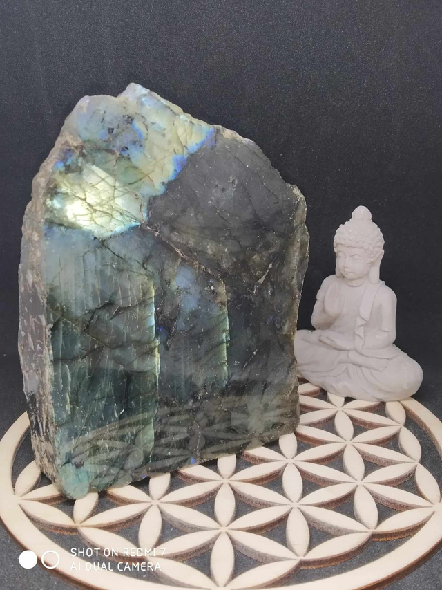 Labradorite  1 face polie 560gr