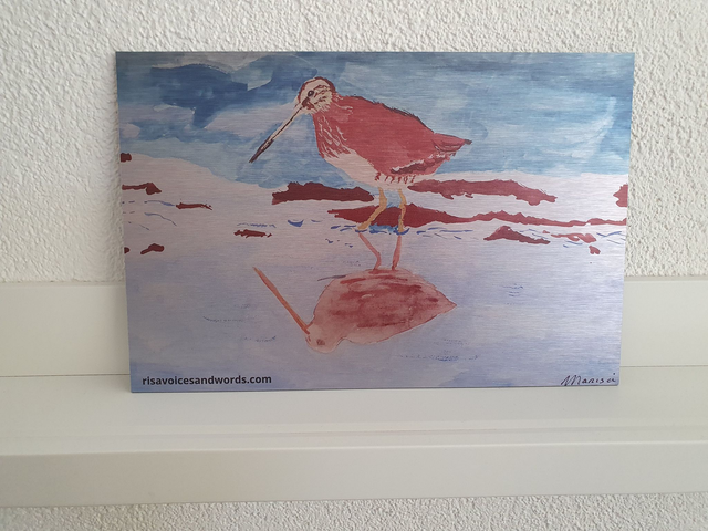 Snipe, watercolor portrait printed on aluminum. Beautiful nature in a modern jacket.