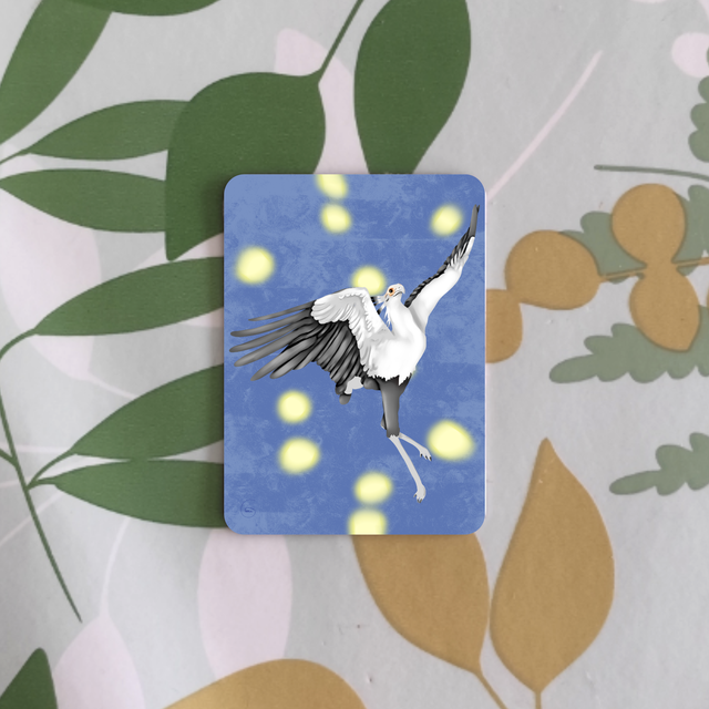 Oiseaux