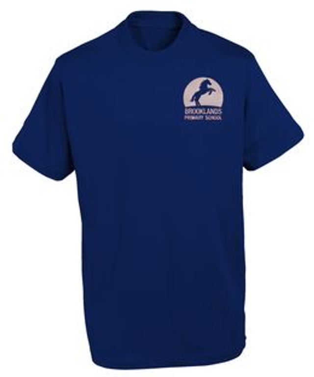 PE T-Shirt (Branded) - Blue