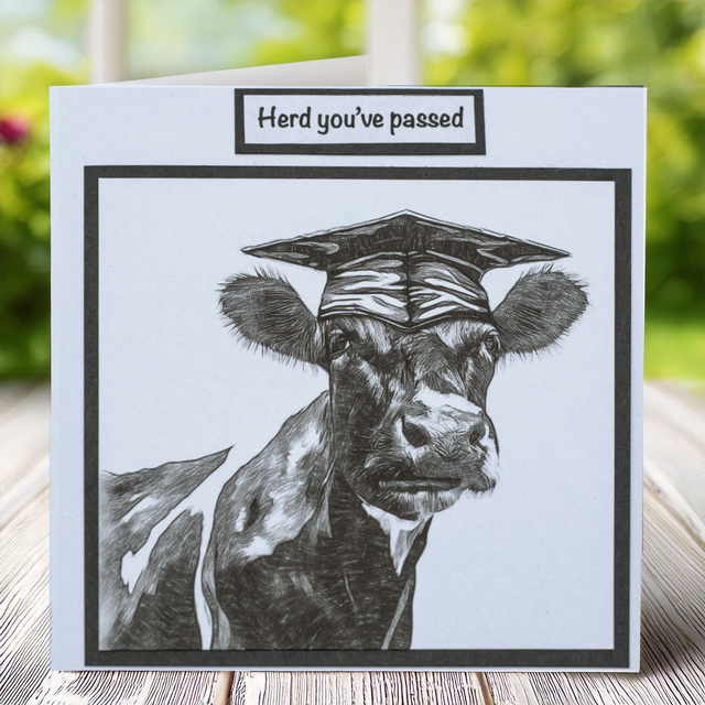 Quirky Cow ‘Herd You’ve Passed’ Graduation card. 135mmx135mm. Fun design with a Cow in a Graduation cap.