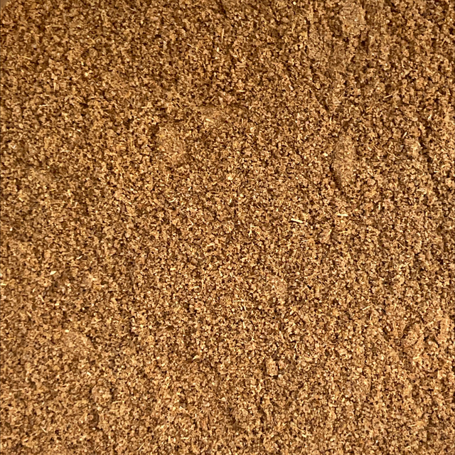 Kreuzkümmel Bio