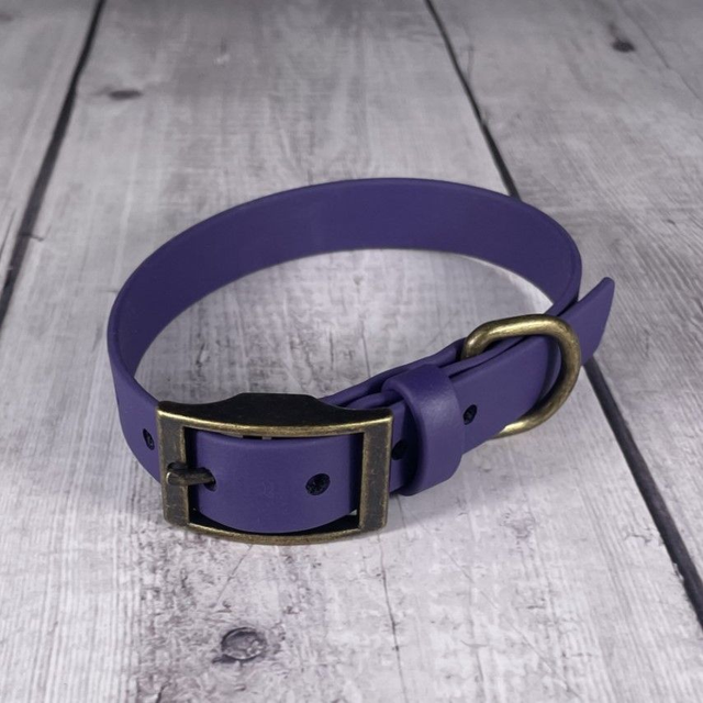 Violet Waterproof BioThane® Collar