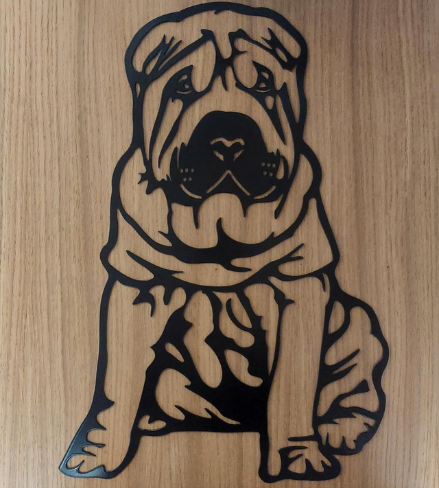 Steel Shar Pei 