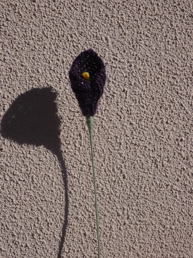 Arum violet foncé pailleté 