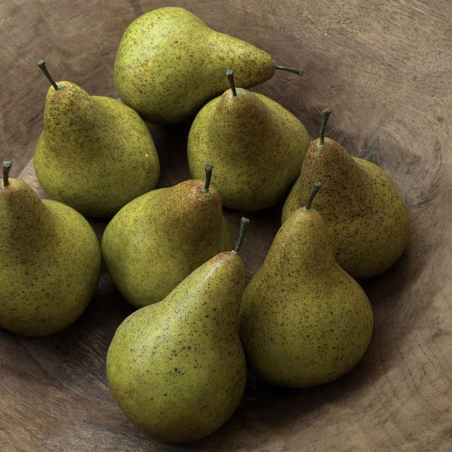Faux Conference Pear