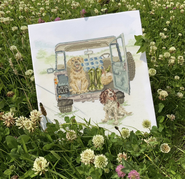 PAWS FOR A PICNIC Cross Stitch Kit