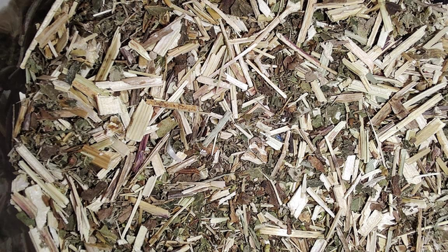 Moerasspirea / olmsprietjes gesneden