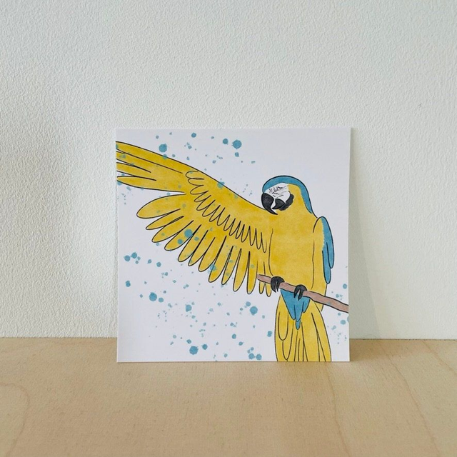 Kleine kaart blauwgele ara, 10 x 10 cm