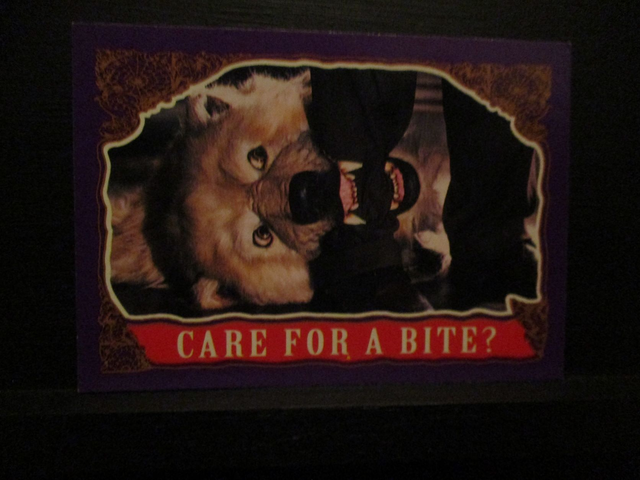 The Addams Family Original Trading Card #17