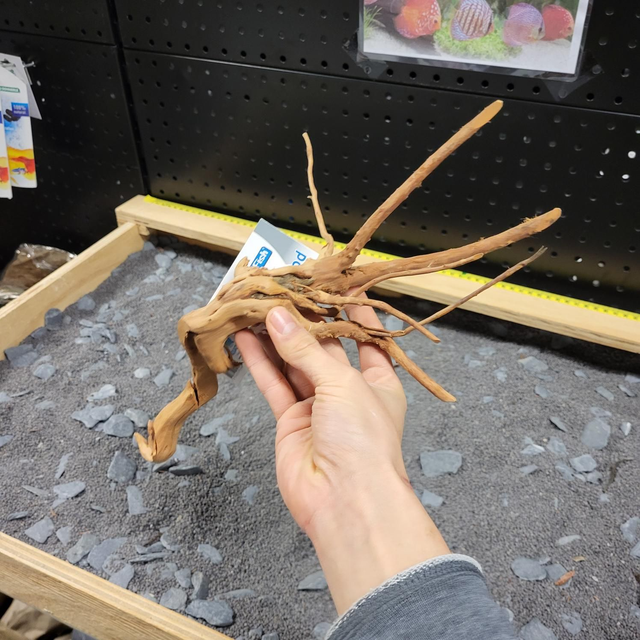 Sf spiderwood S 8715897259944